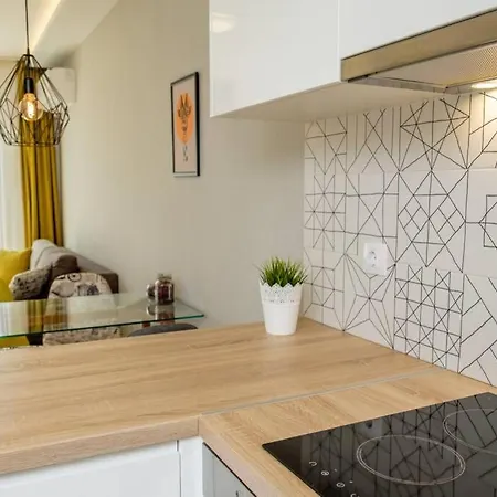 Luxury In The Top City Center Apartment
